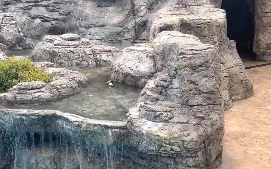 COMPLEX “OASIS” – ZVERINO