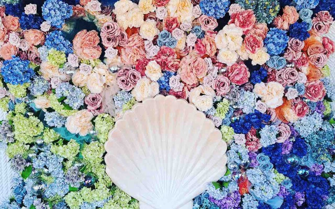 Мида Пейка – Ресторант Варна