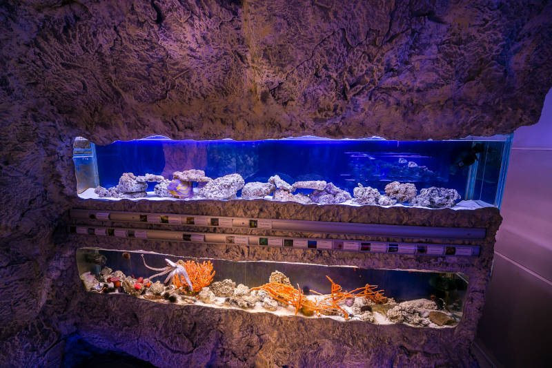 Морски аквариум Пловдив