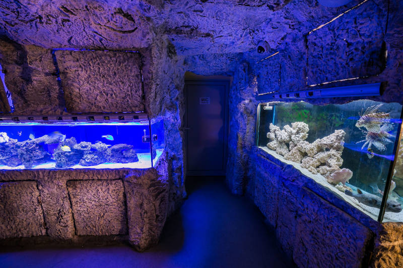 Рифови структури за морски аквариум